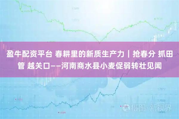盈牛配资平台 春耕里的新质生产力｜抢春分 抓田管 越关口——河南商水县小麦促弱转壮见闻