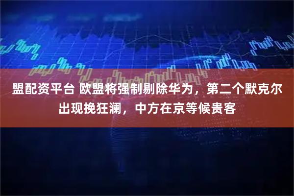 盟配资平台 欧盟将强制剔除华为，第二个默克尔出现挽狂澜，中方在京等候贵客