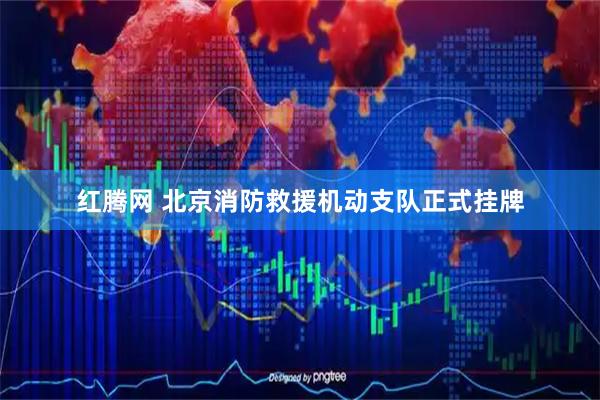 红腾网 北京消防救援机动支队正式挂牌