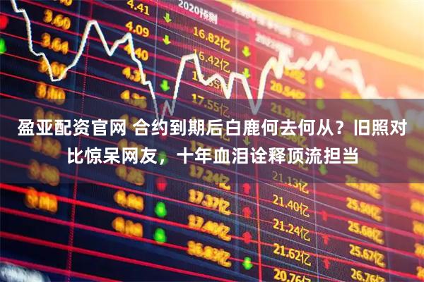 盈亚配资官网 合约到期后白鹿何去何从？旧照对比惊呆网友，十年血泪诠释顶流担当